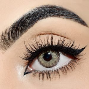 Hawk Eye - Wild Collection